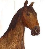 Valdštejnův kůň