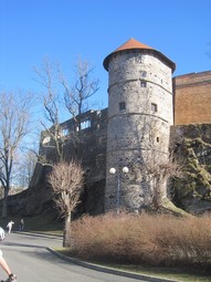 Chebský hrad od řeky Ohře